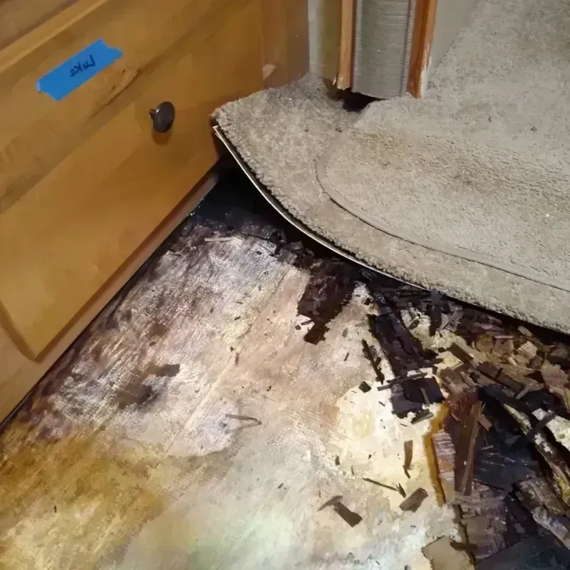 Wood Floor Water Damage in Eldorado, WI